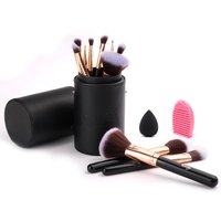 12 Pcs Travel Makeup Brush Set