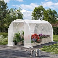White Outdoor Walk-in Tunnel Greenhouse
